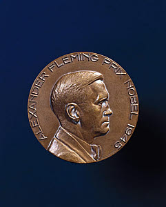 10306135
&copy; Science Museum
'Alexander Fleming Prix Nobel 1945'.