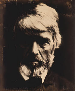 10311239
&copy; NMeM
'Carlyle like a rough block of Michaelangelo's sculpture', 1867.