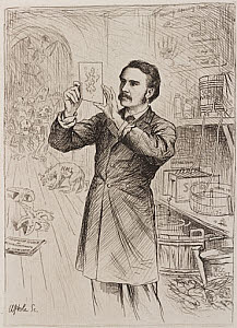 10400440
&copy; Science Museum Pictorial
James Cossar Ewart, zoologist, 1884.