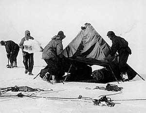 10250242
&copy; NMeM Daily Herald Archive
Captain Robert Falcon Scott and companions at the Antarctic, 1912.