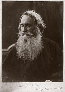 10311243
&copy; NMeM
'Henry Taylor', 1864.