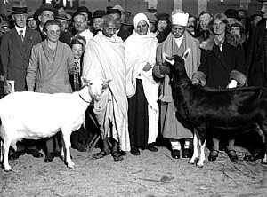 10323548
&copy; NMeM Daily Herald Archive
Mahatma Gandhi at a dairy show, Agricultural Hall, 24 October 1931.