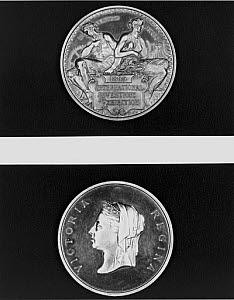 10320551
&copy; Science Museum
Bronze medal awarded to Alexander Parkes, 1885.