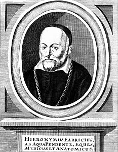 10301260
&copy; Science Museum
Hieronymus Fabricius, Italian anatomist,  late 16th century.