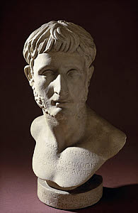 10284961
&copy; Science Museum
Bust of the physician Marcus Modius Asiaticus, Roman, 2nd century AD.
