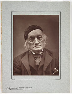 10435461
&copy; NMeM
Professor Owen, c 1885.