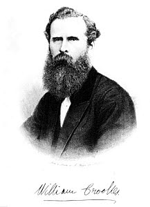 10300966
&copy; Science Museum
Sir William Crookes, English chemist and physicist, c 1875.