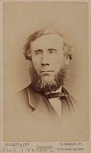 10401867
&copy; Science Museum Pictorial
John Tyndall, Irish physicist, c 1875.