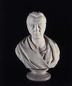 10308069
&copy; National Railway Museum
George Stephenson, English railway engineer, 1859.