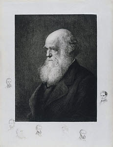 10199673
&copy; Science Museum Pictorial
Charles Darwin, English naturalist, c 1860s.