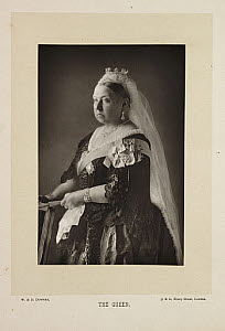 10428275
&copy; NMeM - Kodak Collection
'The Queen',  1892.