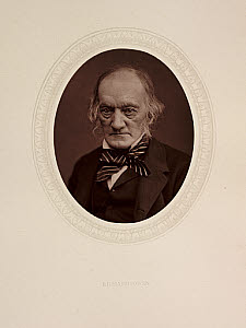 10428182
&copy; NMeM - Kodak Collection
'Richard Owen', 1878.