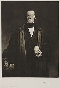 10401686
&copy; Science Museum Pictorial
Sir Richard Owen, English naturalist and paleontologist, c 1845.
