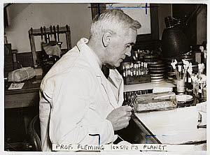 10432087
&copy; NMeM Daily Herald Archive
Professor Alexander Fleming, �Discoverer of Penicillin', 1943.
