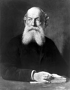 10285189
&copy; Science Museum
Friedrich August Kekule von Stradonitz, German organic chemist, c 1880s.