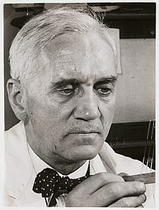 10432089
&copy; NMeM Daily Herald Archive
'Sir Alexander Fleming', 1945.