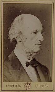10400590
&copy; Science Museum Pictorial
William Benjamin Carpenter, physiologist and naturalist, c 1870s.