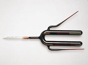 10288292
&copy; Science Museum
U-shaped tube of Pasteur�s 'Vibrio Septique', c 1860s