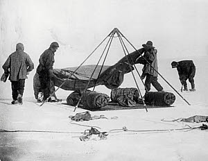 10309293
&copy; NMeM Daily Herald Archive
Captain Robert Falcon Scott and companions at the Antarctic, 1912.