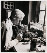 10308494
&copy; NMeM Daily Herald Archive
Alexander Fleming, Scottish bacteriologist, 18 December 1943.