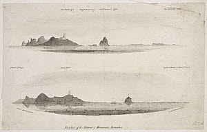 10422221
&copy; Science Museum Pictorial
�Sketches of the Island of Fernando Noronha�, South Atlantic, 1828-1831.