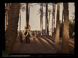 10458427
&copy; TBC / Royal Photographic Society
'Recumbent Statue of Ramses the Great at Memphis, Egypt'.