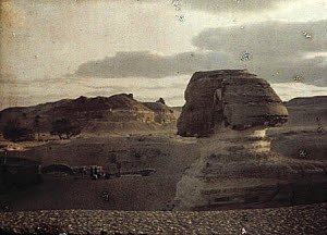 10462035
&copy; TBC / Royal Photographic Society
Sphinx, 1914.