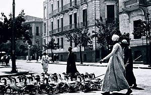 10310238
&copy; NMeM - Kodak Collection
Arab herdsmen escorting geese across a street in Egypt, c 1910s.