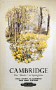 10170646
'Cambridge - The �Backs� in Springtime�, BR (ER) poster, 1950.
