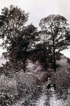10326893
&copy; NMeM - Kodak Collection
Children in a country lane, c 1890s.