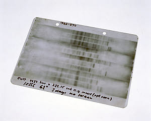 10319201
&copy; Science Museum
First genetic fingerprint, 1984.