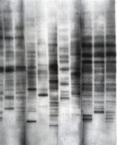 10319202
&copy; Science Museum
The first genetic fingerprint, 1984.