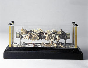 10212112
&copy; Science Museum
Section of submarine telegraph cable, c 1873.