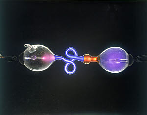 10309218
Working Geissler tube, c 1988.