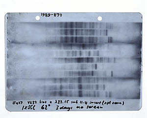 10319221
&copy; Science Museum
First genetic fingerprint, 1984.
