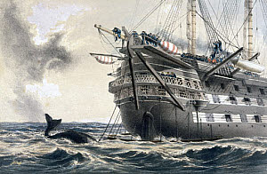 10307537
&copy; Science Museum Library
HMS 'Agamemnon', 1858.