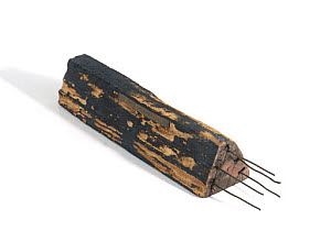 10313540
&copy; Science Museum
Section of first telegraph cable, 1837.