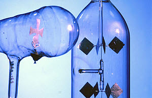 10262650
&copy; Science Museum
Crookes Maltese cross tube (left) and radiometer (right), 1879-1888.