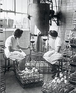 10250362
&copy; NMeM Daily Herald Archive
Manufacturing penicillin, 18 December 1943.