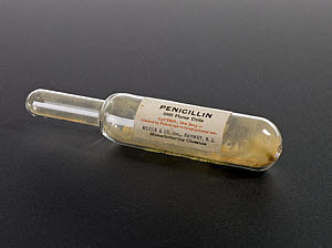 10474462
&copy; Science Museum
Penicillin podwer in glass tube, United States, 1943.