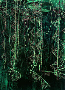 10465163
Telephone wiring, 1966.