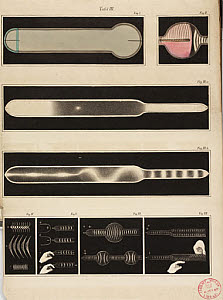 10419164
Glowing Geissler tubes, 1858.
