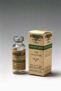 10315477
&copy; Science Museum
Penicillin specimen with original packaging, c 1950.