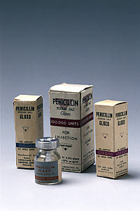 10315480
&copy; Science Museum
Penicillin specimen with original packaging, c 1950.