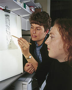 10322683
&copy; Science Museum
Clinical molecular geneticists studying a radiograph of a DNA sequence, 2000.