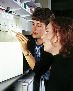 10322684
&copy; Science Museum
Molecular geneticists studying an autoradiograph, London, May 2000.