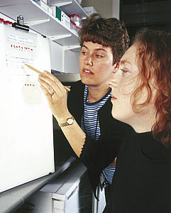 10322685
&copy; Science Museum
Molecular geneticists studying an autoradiograph of DNA results.