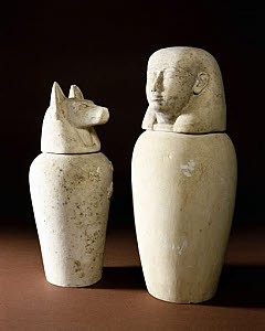10284903
&copy; Science Museum
Ancient Egyptian Canopic burial jars, 2000 BC-100 AD.
