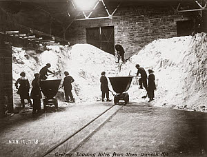 10318403
&copy; Science Museum Archive
Women workers breaking up a heap of nitre, Dornock, Scotland, 1918.