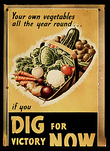 10440804
© NMeM - Kodak Collection
'Dig for Victory' poster, c 1940. 10440804
© NMeM - Kodak Collection
'Dig for Victory' poster, c 1940.
